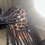 Starter Loc Two-Strand Twists