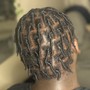 Starter Locs