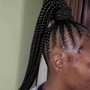 Stitch Braided Ponytail (10 Braids)