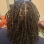 Locs (Starter)