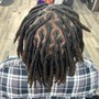 Small starter Locs