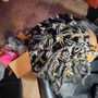 Wig Install