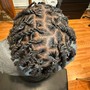 Starter locs: 2 Strand Twists (sm) -  Midback Length