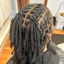 Starter Locs: High Top (sm/med) - Neck Length