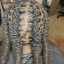 Loc Extensions (Hair Included)