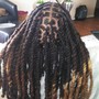 Traditional Starter Locs with 2 Strand Protective Style