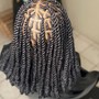 Traditional Starter Locs with 2 Strand Protective Style