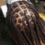 Micro Starter Locs (Sisterloc Like)