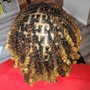 Micro Starter Locs (Sisterloc Like)