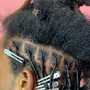 Starter Locs