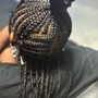 Tribal Braids and sew in