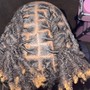 Kid Dreadlocks