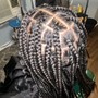 Starter Locs