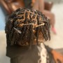 Basic Retwist