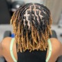 Loc Maintenance Retwist