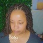 Loc Lesson / Starter Locs/ Natural Hair