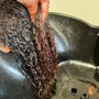 Root Touch Up