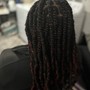 Havana Twists