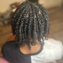 Starter Locs/Two strand twists