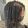 Traditional Starter Locs