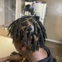 Starter Locs