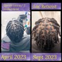 Starter locs