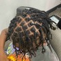 Starter Locs