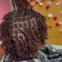 Starter Locs