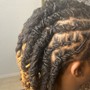 Two Strand Twists