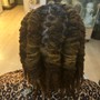 Two Strand Twists