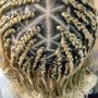 Tree Braids