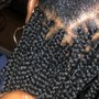 Root Touch Up