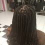 Wash, Deep Condition & Blowout