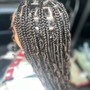 Human boho knotless Braids (medium shoulder-mid back length)