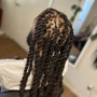 Medium Box Braids