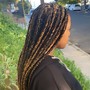 Short Boho Marley Twist