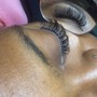 Individual Lashes