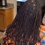 Medium box Braids