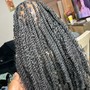 Starter Locs