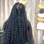 Senegalese Twist waist length