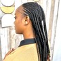 Box Braids midback length smedium