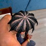 Wants beads added for kids hairstyle