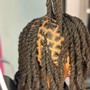 Loc Re-Twist Only (No style)