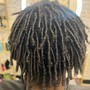 Root Touch Up