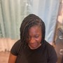 Mini Twists on Blown out Hair