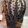 Havana Twists