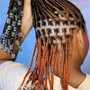 Senegalese Twist