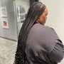 Havana Twists