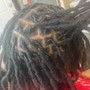 Starter Locs