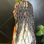 Crochet Braids